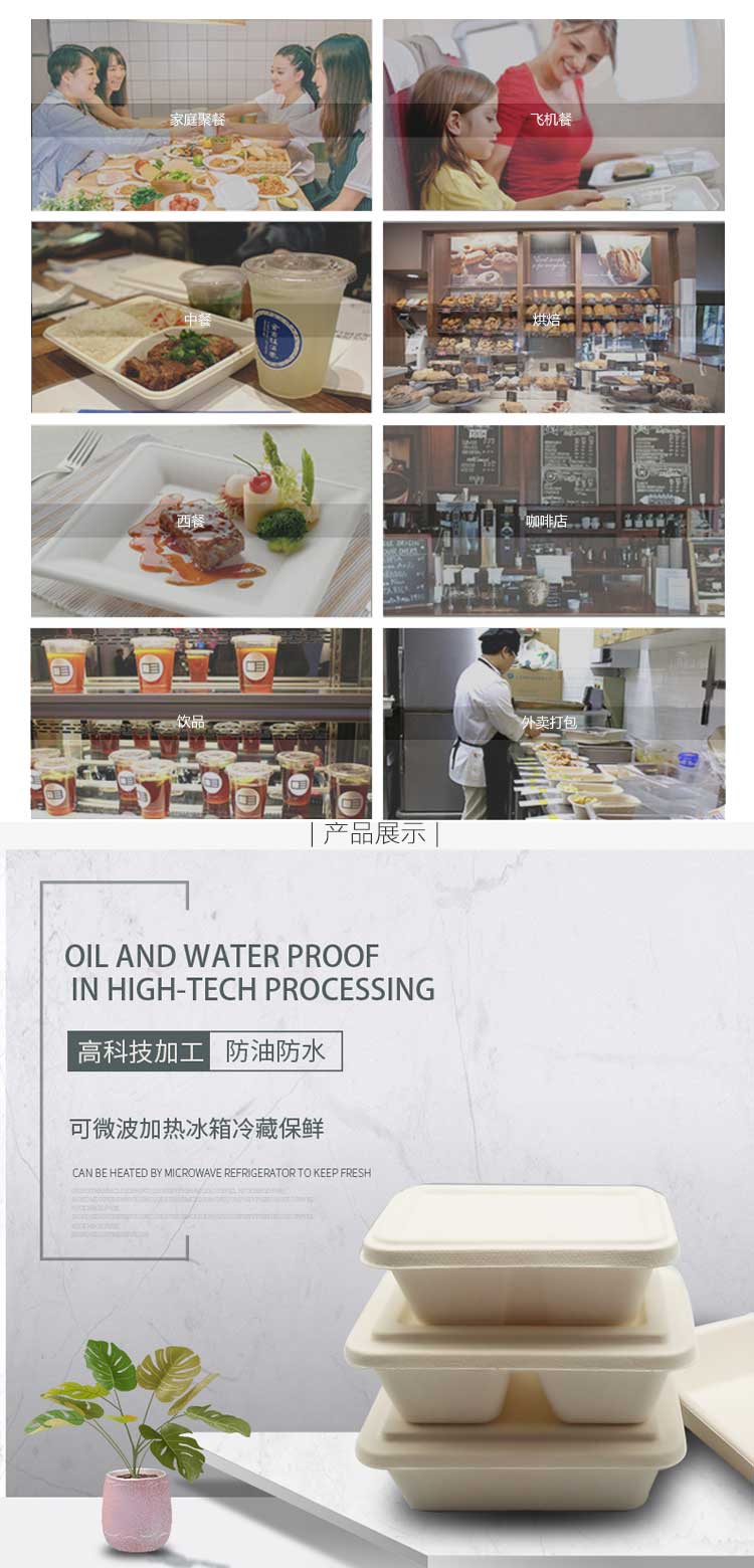 家得宝环保纸浆方形餐盒一次性可降解快餐外卖便当方形打包盒整箱